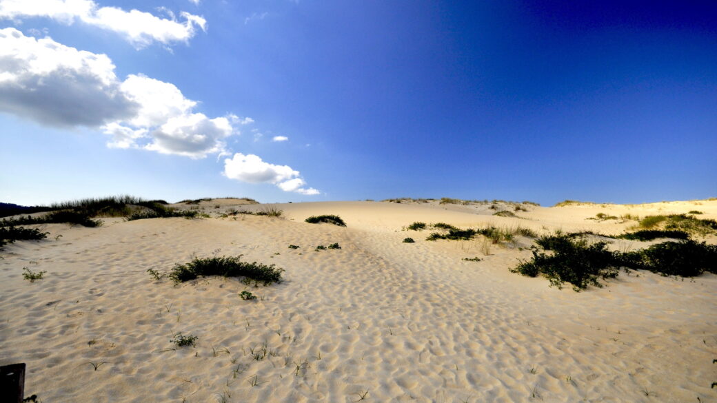Parque Natural Dunas Corrubedo – Naturalny Park Wydm i lagun w Corrubedo