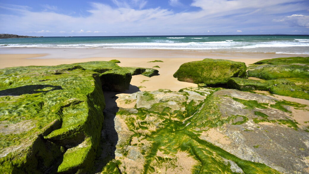 Playa Espiñeirido – rajska plaża w Ribeira