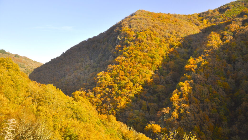 Sierra de O Courel – piękna ziemia gór, lasów i łąk