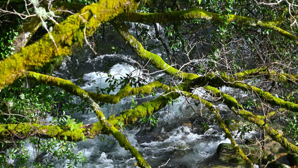 Gdy deszcz rządzi krajobrazem. Zimowa magia hiszpańskiej Galicji